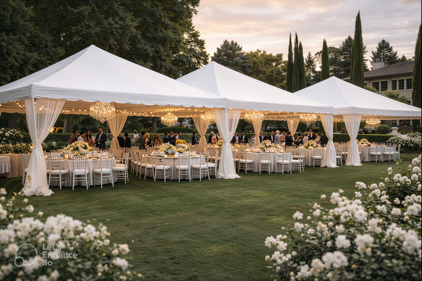 Carpa 6×8, apto para 60 personas